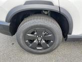 Thumbnail of 2026 PLATNIUM Honda Passport