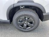 Thumbnail of 2026 PLATNIUM Honda Passport