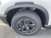 Thumbnail of 2026 PLATNIUM Honda Passport