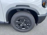 Thumbnail of 2026 PLATNIUM Honda Passport