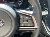 Thumbnail of 2025 Autumn Green Subaru Outback