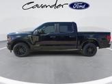 Thumbnail of 2025 Agate Black Metallic Ford F-150