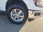Thumbnail of 2025 White Ford F-150