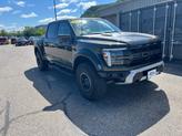 Thumbnail of 2025 Shelter Green Ford F-150