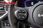 Thumbnail of 2023 Steel Gray Kia Soul