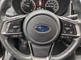 Thumbnail of 2022 Crystal Black Silica Subaru Forester