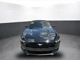 Thumbnail of 2015 Black Ford Mustang