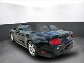 Thumbnail of 2015 Black Ford Mustang