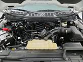 Thumbnail of 2023 White Ford F-150