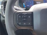 Thumbnail of 2025 Agate Black Metallic Ford F-150