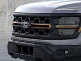 Thumbnail of 2025 Carbonized Gray Metallic Ford F-150