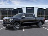 Thumbnail of 2025 Black GMC Sierra 1500