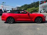 Thumbnail of 2023 Race Red Ford Mustang