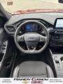 Thumbnail of 2024 RED Ford Escape