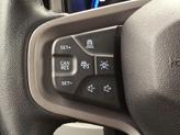 Thumbnail of 2022 CACTUS GRAY Ford Bronco