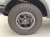 Thumbnail of 2022 CACTUS GRAY Ford Bronco