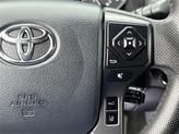 Thumbnail of 2019 Cement Toyota Tacoma