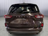 Thumbnail of 2023 Cinnabar Red Metallic Premium Colorant Ford Escape