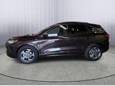 Thumbnail of 2023 Cinnabar Red Metallic Premium Colorant Ford Escape