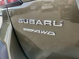 Thumbnail of 2025 Autumn Green Metallic Subaru Outback