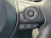Thumbnail of 2024 Ice Toyota RAV4