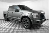 Photo of 2016 Magnetic Ford F-150