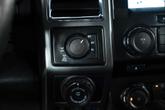 Thumbnail of 2016 Magnetic Ford F-150