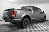 Thumbnail of 2016 Magnetic Ford F-150