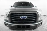 Thumbnail of 2016 Magnetic Ford F-150