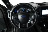 Thumbnail of 2016 Magnetic Ford F-150