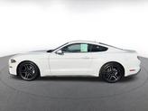Thumbnail of 2023 Oxford White Ford Mustang