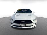 Thumbnail of 2023 Oxford White Ford Mustang