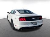 Thumbnail of 2023 Oxford White Ford Mustang