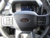 Thumbnail of 2025 Rapid Red Metallic Tinted Clearcoat Ford F-150