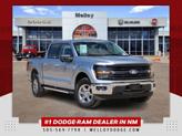 Photo of 2024 Silver Metallic Ford F-150