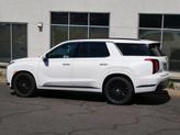 Thumbnail of 2025 Hyper White Hyundai PALISADE
