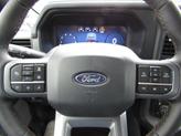 Thumbnail of 2025 Gray Ford F-150