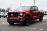 Thumbnail of 2025 Red Metallic Ford F-150