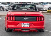 Thumbnail of 2015 Race Red Ford Mustang
