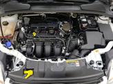 Thumbnail of 2014 White Ford Focus