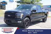 Photo of 2024 Black Metallic Ford F-150