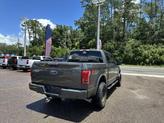 Thumbnail of 2017 Magnetic Metallic Ford F-150
