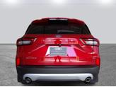 Thumbnail of 2023 Rapid Red Metallic Tinted Clearcoat Ford Escape