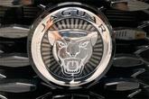 Thumbnail of 2025 Fuji White Jaguar F-PACE