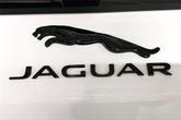 Thumbnail of 2025 Fuji White Jaguar F-PACE