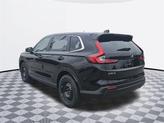 Thumbnail of 2026 Black Honda CR-V