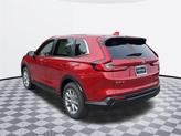 Thumbnail of 2026 Radiant Red Honda CR-V