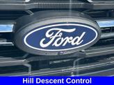 Thumbnail of 2024 Avalanche Gray Ford F-150