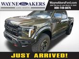 Photo of 2025 Shelter Green Ford F-150