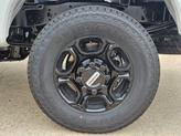 Thumbnail of 2025 Avalanche Ford F-250